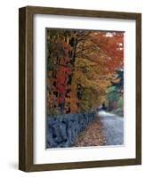 Fall Colors in the White Mountains, New Hampshire, USA-Jerry & Marcy Monkman-Framed Photographic Print