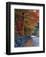 Fall Colors in the White Mountains, New Hampshire, USA-Jerry & Marcy Monkman-Framed Photographic Print