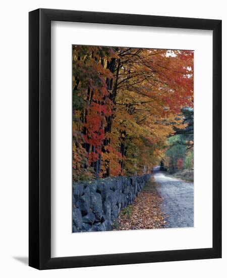 Fall Colors in the White Mountains, New Hampshire, USA-Jerry & Marcy Monkman-Framed Photographic Print