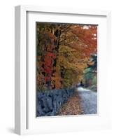 Fall Colors in the White Mountains, New Hampshire, USA-Jerry & Marcy Monkman-Framed Photographic Print