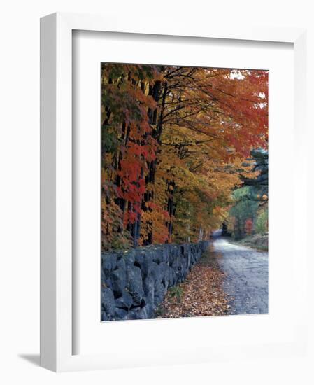 Fall Colors in the White Mountains, New Hampshire, USA-Jerry & Marcy Monkman-Framed Photographic Print