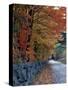 Fall Colors in the White Mountains, New Hampshire, USA-Jerry & Marcy Monkman-Stretched Canvas