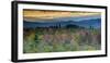 Fall Colors in the White Mountains, New Hampshire-Howie Garber-Framed Photographic Print