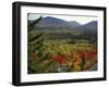 Fall Colors in Wassataquoik Valley, Northern Hardwood Forest, Maine-Jerry & Marcy Monkman-Framed Premium Photographic Print