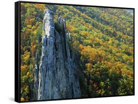 Fall Colors, Monongahela National Forest West Virginia, USA-Charles Gurche-Framed Stretched Canvas