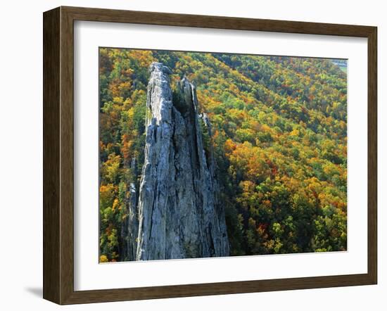 Fall Colors, Monongahela National Forest West Virginia, USA-Charles Gurche-Framed Photographic Print