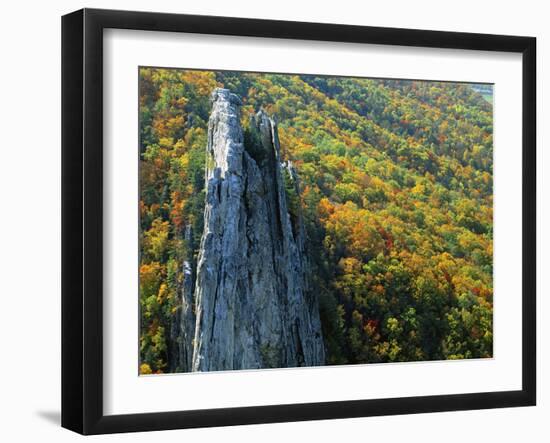 Fall Colors, Monongahela National Forest West Virginia, USA-Charles Gurche-Framed Photographic Print