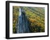 Fall Colors, Monongahela National Forest West Virginia, USA-Charles Gurche-Framed Photographic Print