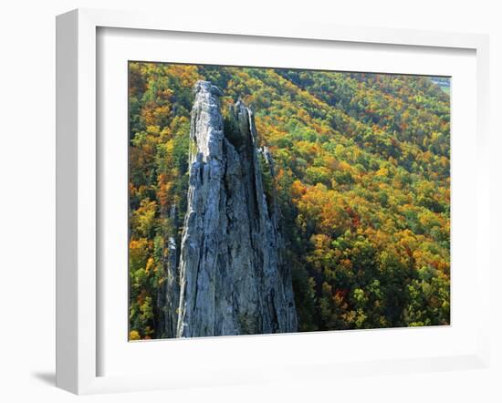 Fall Colors, Monongahela National Forest West Virginia, USA-Charles Gurche-Framed Photographic Print