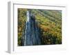 Fall Colors, Monongahela National Forest West Virginia, USA-Charles Gurche-Framed Photographic Print