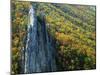 Fall Colors, Monongahela National Forest West Virginia, USA-Charles Gurche-Mounted Photographic Print