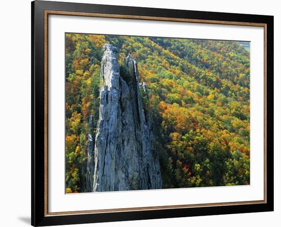 Fall Colors, Monongahela National Forest West Virginia, USA-Charles Gurche-Framed Photographic Print