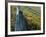 Fall Colors, Monongahela National Forest West Virginia, USA-Charles Gurche-Framed Photographic Print