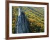 Fall Colors, Monongahela National Forest West Virginia, USA-Charles Gurche-Framed Photographic Print