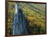 Fall Colors, Monongahela National Forest West Virginia, USA-Charles Gurche-Framed Photographic Print