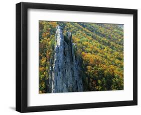 Fall Colors, Monongahela National Forest West Virginia, USA-Charles Gurche-Framed Photographic Print