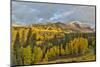 Fall colors near Kebler Pass, Crested Butte-Darrell Gulin-Mounted Photographic Print