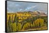 Fall colors near Kebler Pass, Crested Butte-Darrell Gulin-Framed Stretched Canvas