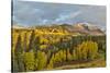 Fall colors near Kebler Pass, Crested Butte-Darrell Gulin-Stretched Canvas