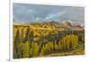 Fall colors near Kebler Pass, Crested Butte-Darrell Gulin-Framed Photographic Print