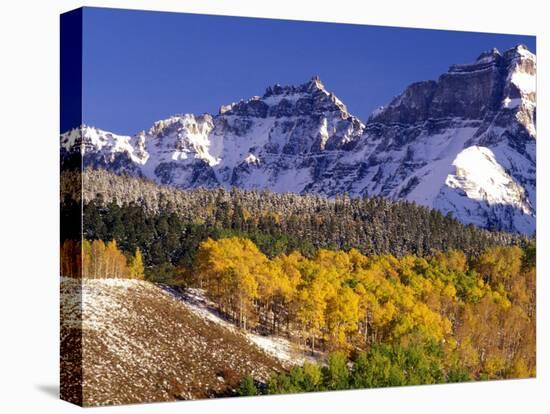 Fall Colors on Aspen Trees, Maroon Bells, Snowmass Wilderness, Colorado, USA-Gavriel Jecan-Stretched Canvas