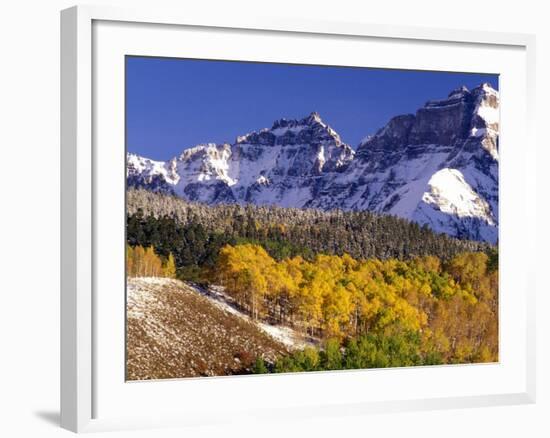 Fall Colors on Aspen Trees, Maroon Bells, Snowmass Wilderness, Colorado, USA-Gavriel Jecan-Framed Photographic Print