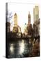 Fall Colors on Central Park II-Philippe Hugonnard-Stretched Canvas