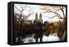 Fall Colors on Central Park-Philippe Hugonnard-Framed Stretched Canvas