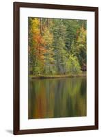 Fall colors on shoreline of Irwin Lake, Hiawatha National Forest, Alger County, Michigan.-Adam Jones-Framed Premium Photographic Print