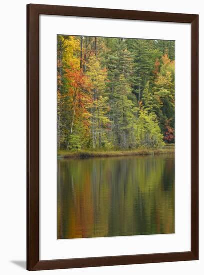 Fall colors on shoreline of Irwin Lake, Hiawatha National Forest, Alger County, Michigan.-Adam Jones-Framed Premium Photographic Print