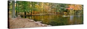 Fall colors over pond in Nature Center, Eagle Creek Park, Indianapolis, Indiana, USA-Anna Miller-Stretched Canvas