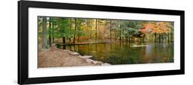 Fall colors over pond in Nature Center, Eagle Creek Park, Indianapolis, Indiana, USA-Anna Miller-Framed Photographic Print