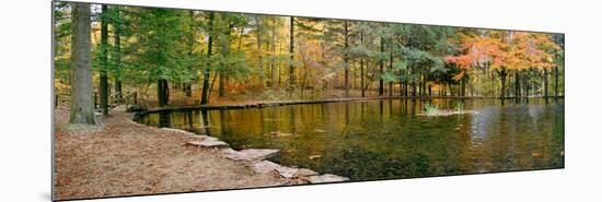 Fall colors over pond in Nature Center, Eagle Creek Park, Indianapolis, Indiana, USA-Anna Miller-Mounted Photographic Print
