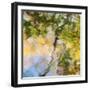 Fall colors reflect in the rippled waters of a pond, looking like a painting.-Brenda Tharp-Framed Photographic Print