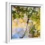 Fall colors reflect in the rippled waters of a pond, looking like a painting.-Brenda Tharp-Framed Photographic Print