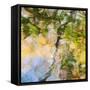 Fall colors reflect in the rippled waters of a pond, looking like a painting.-Brenda Tharp-Framed Stretched Canvas