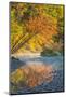 Fall Colors Reflect in the Saco River, New Hampshire. White Mountains-Jerry & Marcy Monkman-Mounted Photographic Print