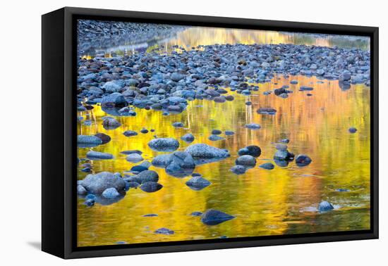 Fall Colors Reflect in the Saco River, New Hampshire. White Mountains-Jerry & Marcy Monkman-Framed Stretched Canvas