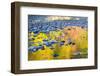 Fall Colors Reflect in the Saco River, New Hampshire. White Mountains-Jerry & Marcy Monkman-Framed Photographic Print