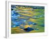 Fall Colors Reflect in the West River, Jamaica State Park, Vermont, USA-Jerry & Marcy Monkman-Framed Photographic Print