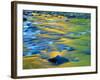 Fall Colors Reflect in the West River, Jamaica State Park, Vermont, USA-Jerry & Marcy Monkman-Framed Photographic Print