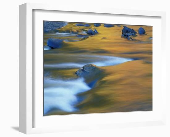 Fall Colors Reflect in the West River, Jamaica State Park, Vermont, USA-Jerry & Marcy Monkman-Framed Premium Photographic Print