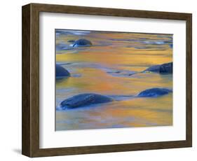 Fall Colors Reflect in the West River, Jamaica State Park, Vermont, USA-Jerry & Marcy Monkman-Framed Photographic Print