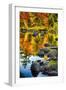 Fall Colors Reflected in a River-George Oze-Framed Photographic Print