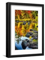 Fall Colors Reflected in a River-George Oze-Framed Photographic Print