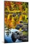 Fall Colors Reflected in a River-George Oze-Mounted Photographic Print