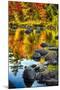 Fall Colors Reflected in a River-George Oze-Mounted Photographic Print