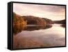 Fall Colors Reflected in Lake, Arkansas, USA-Gayle Harper-Framed Stretched Canvas