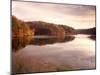 Fall Colors Reflected in Lake, Arkansas, USA-Gayle Harper-Mounted Premium Photographic Print