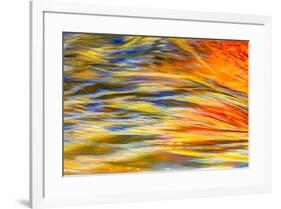 Fall colors reflected in motion blurred view of the Lower Deschutes River, Central Oregon, USA-Stuart Westmorland-Framed Photographic Print